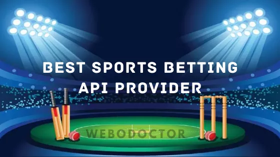 Take A Glimpse On The Best Sports Betting Api Providers In India 