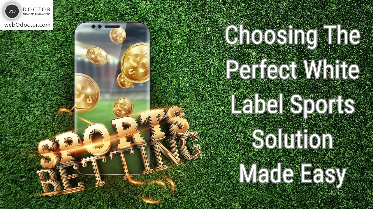 Choosing The Perfect White Label Sports Solution Made Easy