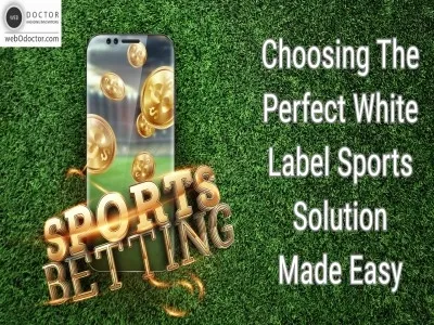 Choosing The Perfect White Label Sports Solution Made Easy