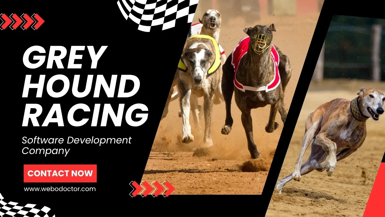 Build Your Own Greyhound Racing Software Development Platform